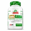 Amix GreenDay ProVEGAN Gold GABA | Gamma-Aminobutyric Acid 750 mg 90 Capsules